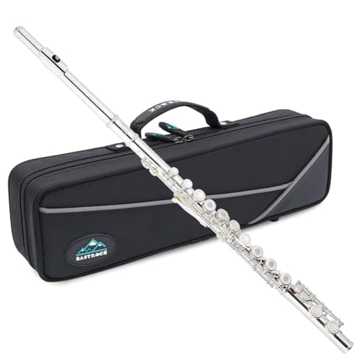 EASTROCK Flauta Travesera Plateada 16 Agujeros Abiertos Clave Flauta Escolar con Estuche, Paño de Limpieza y Guantes para Principiantes y Profesionales