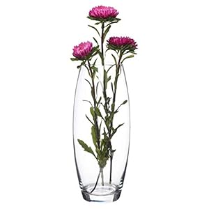 Revinox Botanic Glass Flower Vase (10.5 inches)