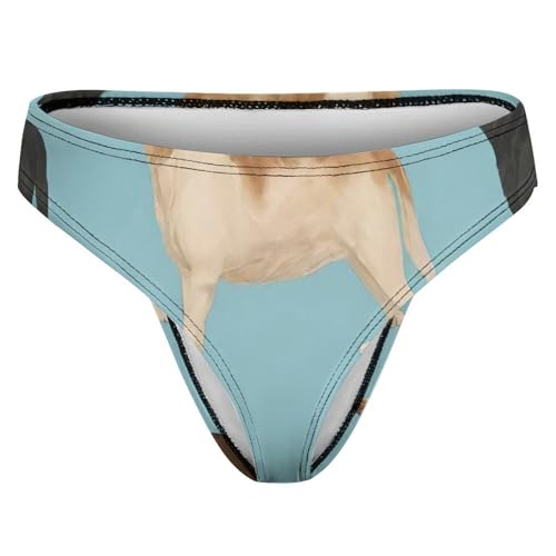 Women & Girls Comfort Cheeky Briefs Panties Bikini Briefs Bathing Suit4