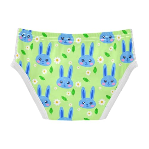 Cute Bunny Rabbit Flowers Floral Green Toddler Boy's Underwear 2T 23018782