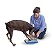 Digger Dog Nail File Stress Free Alternative to Dog Nail Clippers and Dog Nail Grinders (Blue Model 2018)