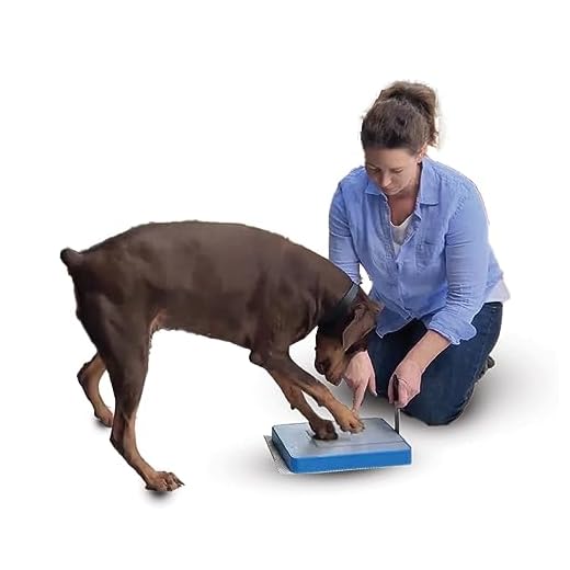 DiggerDog Nail File Stress Free Alternative to Dog Nail Clippers and Dog Nail Grinders (Blue)