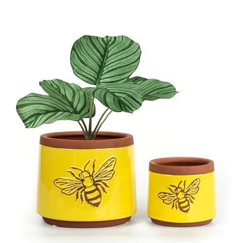 YBX Terracotta Pots Inch with Drainage Holes, Bee Decor, Ceramic