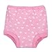 Gerber Baby Girls Infant Toddler 4 Pack Potty Training Pants Underwear Fox 18 Months