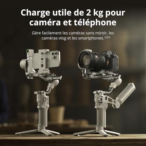 DJI RS 4 Mini, stabilisateur de nacelle pour caméra Canon/Sony/Panasonic/Nikon/Fujifilm, Verrouillage Automatique des Axes, Charge utile de 2 kg, nacelle de caméra, Prise de Vue Verticale Native