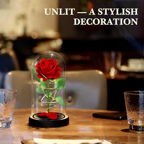 HAOCEE Ewige Rose im Glas, Geschenke für Frauen, Klassische Rote Rosen mit LED, Glaskuppel Roses, Geburtstag Muttertag, Frau,Freundin,Oma, Mama（Rote Rose）
