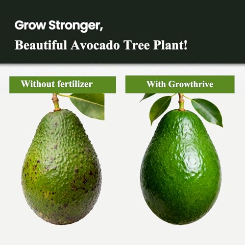 Fertilizante Líquido Orgánico para Árbol de Aguacate 300ml miniatura 6
