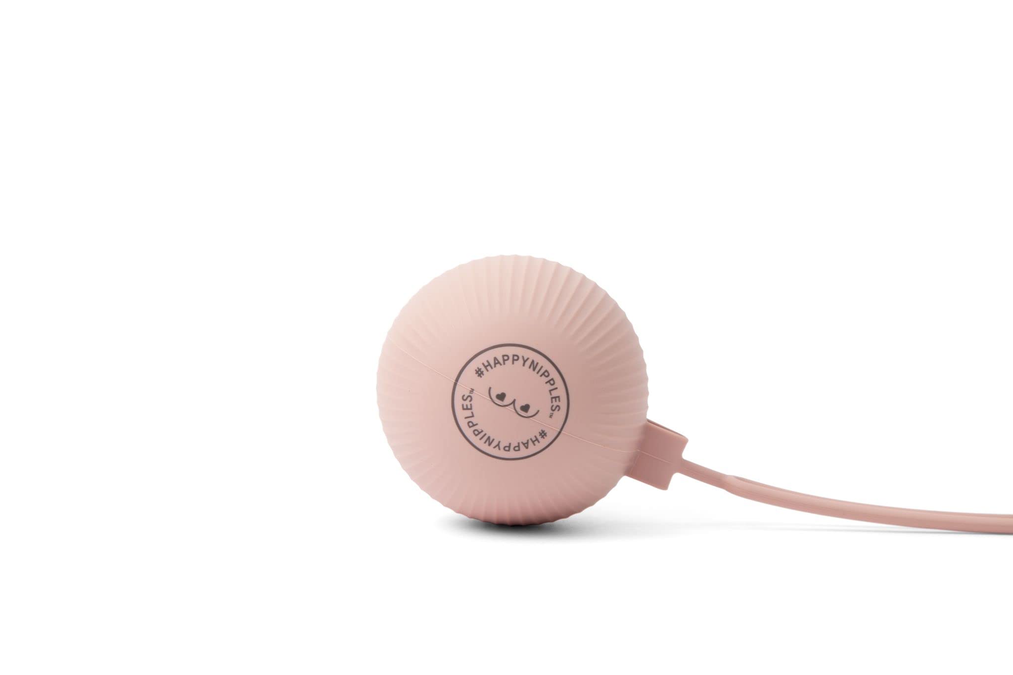 Parent's Choice Fast Flow Silicone Nipples, 3 ct