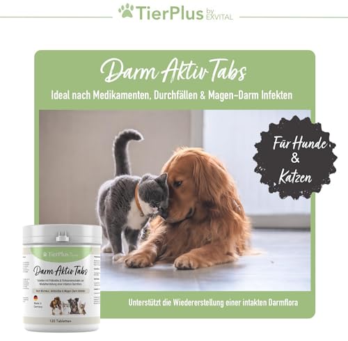 EXVital TierPlus Darm Aktiv Tabletten für Hunde & Katzen, Präbiotika Komplex für eine gesunde Darmflora- Nach Durchfall, Wurmkur, Antibiotika & Magen-Darm Infekten, 120 Tabletten, Made in Germany