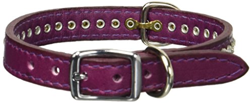 Image of Signature Leather Crystal Dog Collar, Grape Solid Grain Leather, Fits 9.5 inch-11.5 inch Neck Size, 14 inch Overall Length