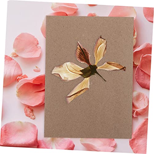 Outil pour fleurs séchées Uonlytech et plaques pour créer des cadeaux uniques faits main