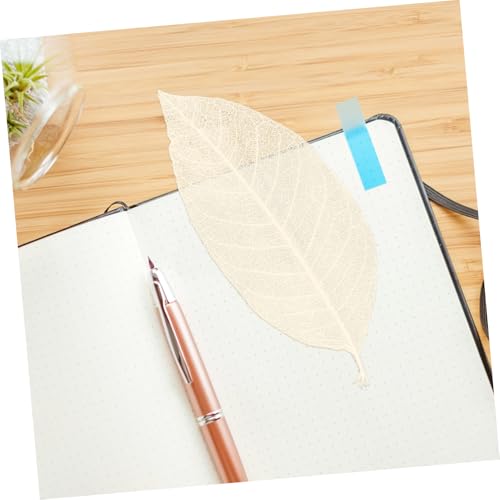 60 hojas secas naturales para artesanía y marcadores miniatura 5