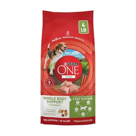 Purina ONE Plus Whole Body Support with Chicken Dry Dog Food - 4 lb. Bag