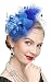 Kathyclassic Women's Fascinators Hat Hair Clip Feather Wedding Headware Bridal 1920s Headpiece (Royal Blue)