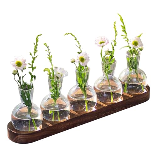 Station De Propagation De Plantas avec Support en Bois, Vases Hydroponiques en Verre, Vase D'avocat Vase en Verre pour Fleurs Terrarium Pot Planteur avec Support en Bois pour Plantas d'eau