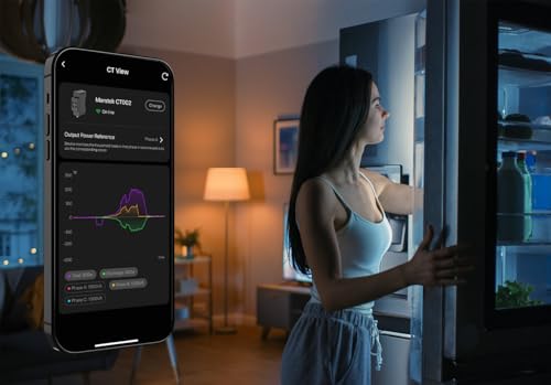 Smarter Zähler CT002 für Marstek 2500D mit Jupiter Serie,Kabellos mit WLAN/Bluetooth, 10 Jahre Garantie, Spart Stromkosten – Schnelle Installation - Nur für Privatpersonen – 0% MwSt