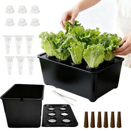 Generico Kit de cultivo – para principiantes para todas las estaciones, contenedor para plantas | Cultivo de plantas compactas para interior y exterior para verduras, frutas, lechuga, balcón