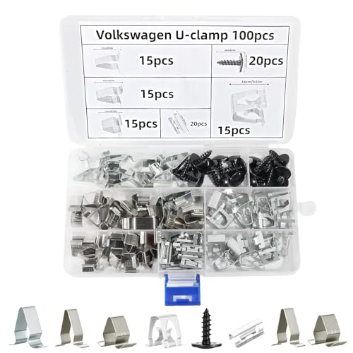 100 Piezas Grapa Metalica Coche, Clips para Salpicadero Panel Interior, Clip de Fijación para Coche de Tablero Instrumento, Clips de Fijación de Metal para Todos los Automóviles