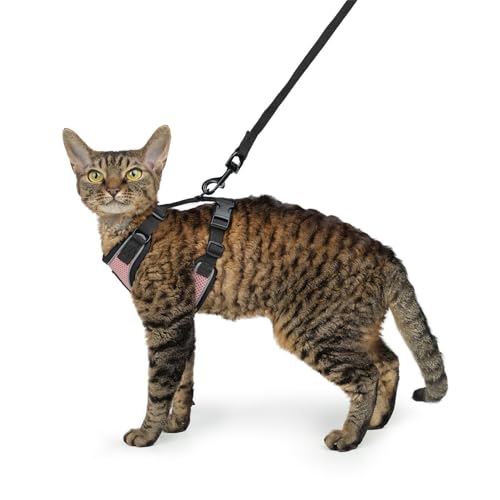 Image of Voyager Escape-Proof Step-in Lock Cat Harness & 5ft Neoprene-Handle Leash Set All-Weather Mesh with Reflective Stitching for Small to Large Cats by Best Pet Supplies, Pink /Black Trim, S