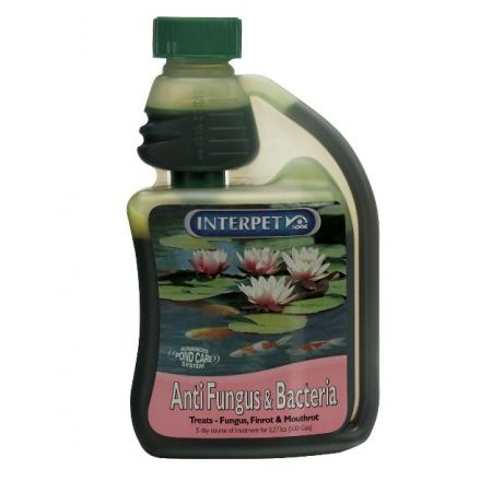Interpet Anti Fungus and Bacteria 250ml