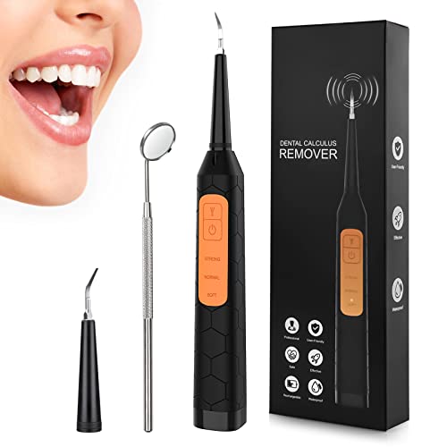 Top 10 Plaque Removers of 2022 Best Reviews Guide