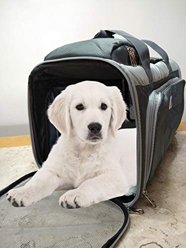 BOLSA EXPANSÍVEL EM 3 LADOS P/TRANSPORTE CACHORROS E GATOS