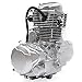 LIANDU-US 4-Stroke ATV Engine Motor 200CC 250CC Go Kart Dirt Bike Engine Motor Assembly with Manual 5-Speed Transmission CDI Single Cylinder Vertical Engine Motor Kit