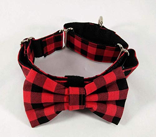 yard collars for dogs