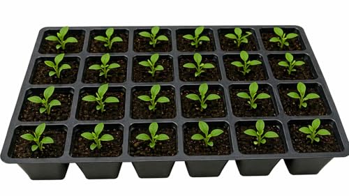 Image of Bio Blooms Agro India Pvt Ltd | Seedling Tray, Plastic Germination Tray for Seed Starting (18 Cavity, 5, Count)