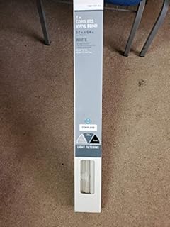 Home Depot 1in Cordless Vinyl Mini Blind