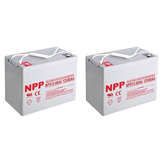 NPP NPD12-80Ah(2 Pcs 12V 80Ah Group 24 AGM Deep Cycle Sealed Lead Acid Rechargeable Battery for Backup Sump Pump, Trolling Motor, Solar System, Mobility Wheelchair, General Use
