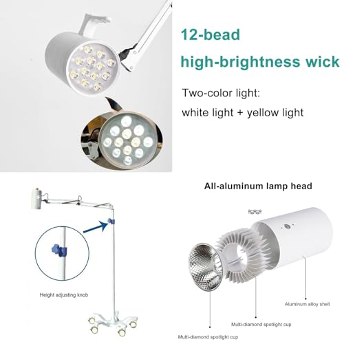 Lampe d'examen médical de type support au sol pour auscultation de précision