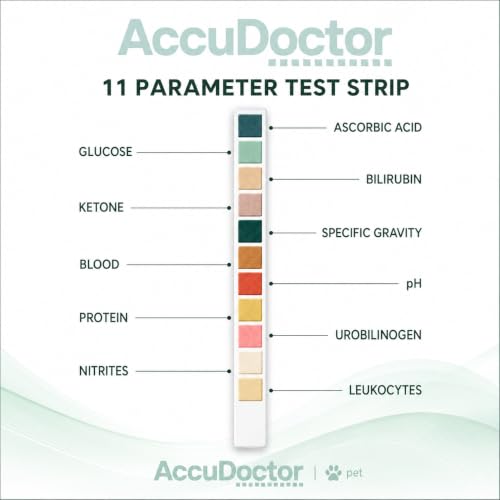 AccuDoctor 100 Urin-Teststreifen Hund & Katze – Urintest für Tiere, pH Teststreifen Urin Hund Urintestreifen Schnelltest – Urin Sticks Hund Katze, Teststreifen Urin Tier, Hund Urintest Niere Zuhause
