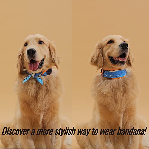 Creative Collocation | The Dog Bandana Macthing Women Socks Set As Dog Lover Gift | Trendy Accessories Suitable For Dog Owner's Spring And Summer Outfit Look #TOP3