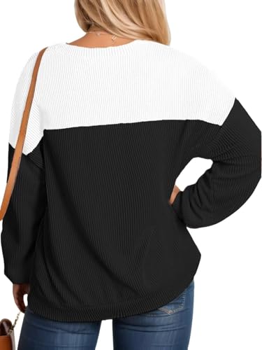 Image of DOLNINE Plus Size Tops for Women Color Block Ribbed Knit Long Sleeve Tunic