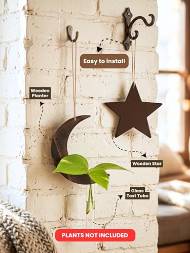 Image of Bombay Greens Hanging Moon Star Planter with Wooden Holder & Rope | Test Tube Hanging Planter Indoor Stand | Wooden Hanging Home Decor, Living Room, Balcony & Office