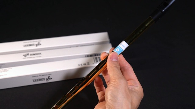 Amazon | Sondery ティンホイッスル ブラス D管 きんいろ | ホイッスル