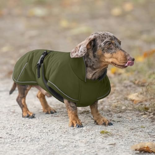 Hjyokuso Hundemantel Dackel M, Winddichter Wasserdichter Wintermantel Für Dackel Hunde, Hundejacke Für Kleine Hunde XS, Hundemantel Winter Mit Bauchschutz Leinenloch, Winterjacken Für Hunde-Armeegrün
