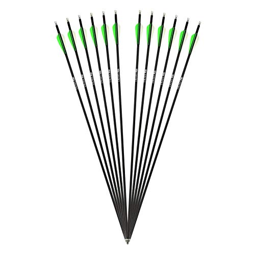 Drake Archery 12 Stück Komplettpfeile Fire Carbon-Hybrid Pfeile für Bogenschießen Bogen Jagdpfeile Erwachsene Carbonpfeile für Recurvebogen (28 Zoll)