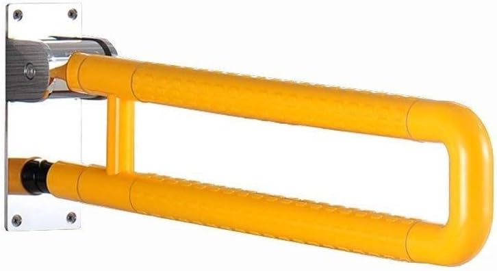 guida per i servizi igienici per anziani