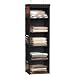 Simple Houseware 5 Shelves Hanging Closet Organizer, Black