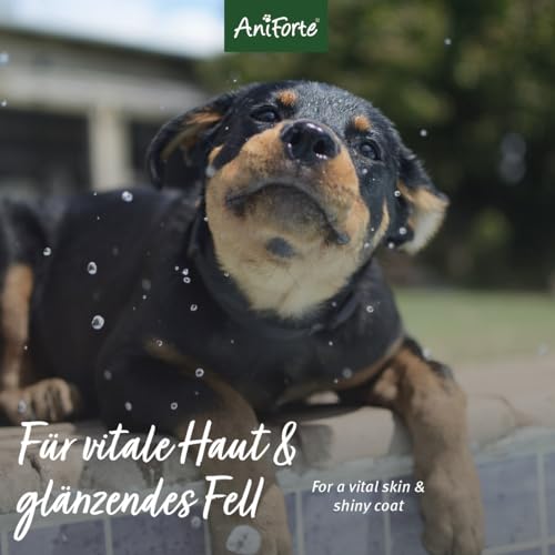 AniForte Aloe Vera Welpenshampoo für Hunde 200ml - Hundeshampoo mild & parfümfrei, Welpen Shampoo für Junghunde & empfindliche Hunde, für glänzendes & leicht kämmbares Fell