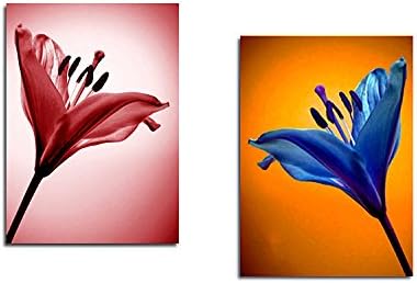 Berdecia Two-Color Flowers 2 Panel Canvas Wall Art -Print 16 inch x 24 inch x 2 (Unframed)