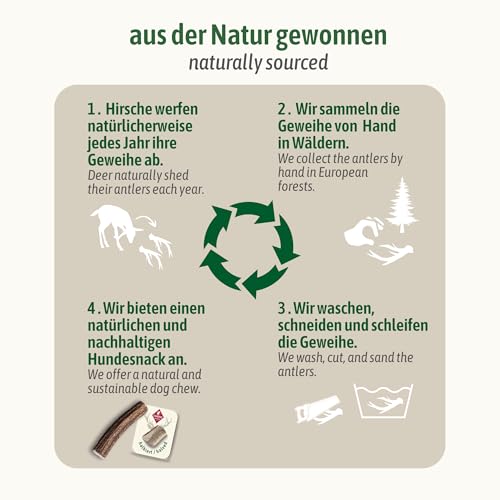ChronoBalance® XL - Hirschgeweih für Hunde – 1er Set Halbierte Kauspielzeuge, 100% Natürliches Kauknochen Hundespielzeug zur Zahnpflege, Nachhaltige Hunde Kauartikel ohne Chemie
