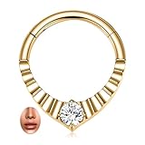 PEAKLINK Anillo de tabique de titanio de 16 g, joyería de tabique, aro de nariz, piercing de daith, joyería para tragus, hélice, cartílago, oro, 10 mm