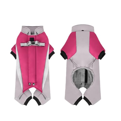  H~ ̌^hR[g ڕt WPbg ^ ^ h h h g ˃e[v S U EȒP p\ AEghA ybg ([Ybh,XL)