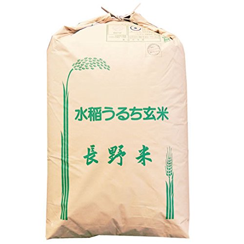 【玄米】長野県上伊那産 玄米 長野県で一番早くて旨い 五百川 1等 30kg 令和7年産 新米