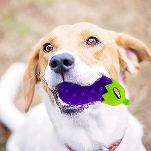 Woofy Pet Natural Rubber Chew Veggie Brinjal Shape Squeaky Toys for All Breed Dogs and Puppies (Pack of 1) (B0BP2BZMLM) Amazon Price History, Amazon Price Tracker