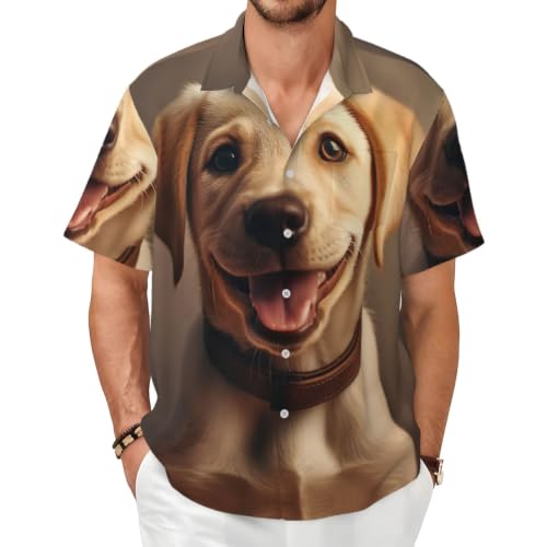 Chemise labrador homme manches courtes col boutonné mode été casual