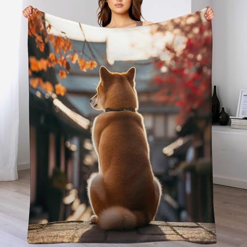 Manta suave para perro que protege el sofá de pelos y frío 2